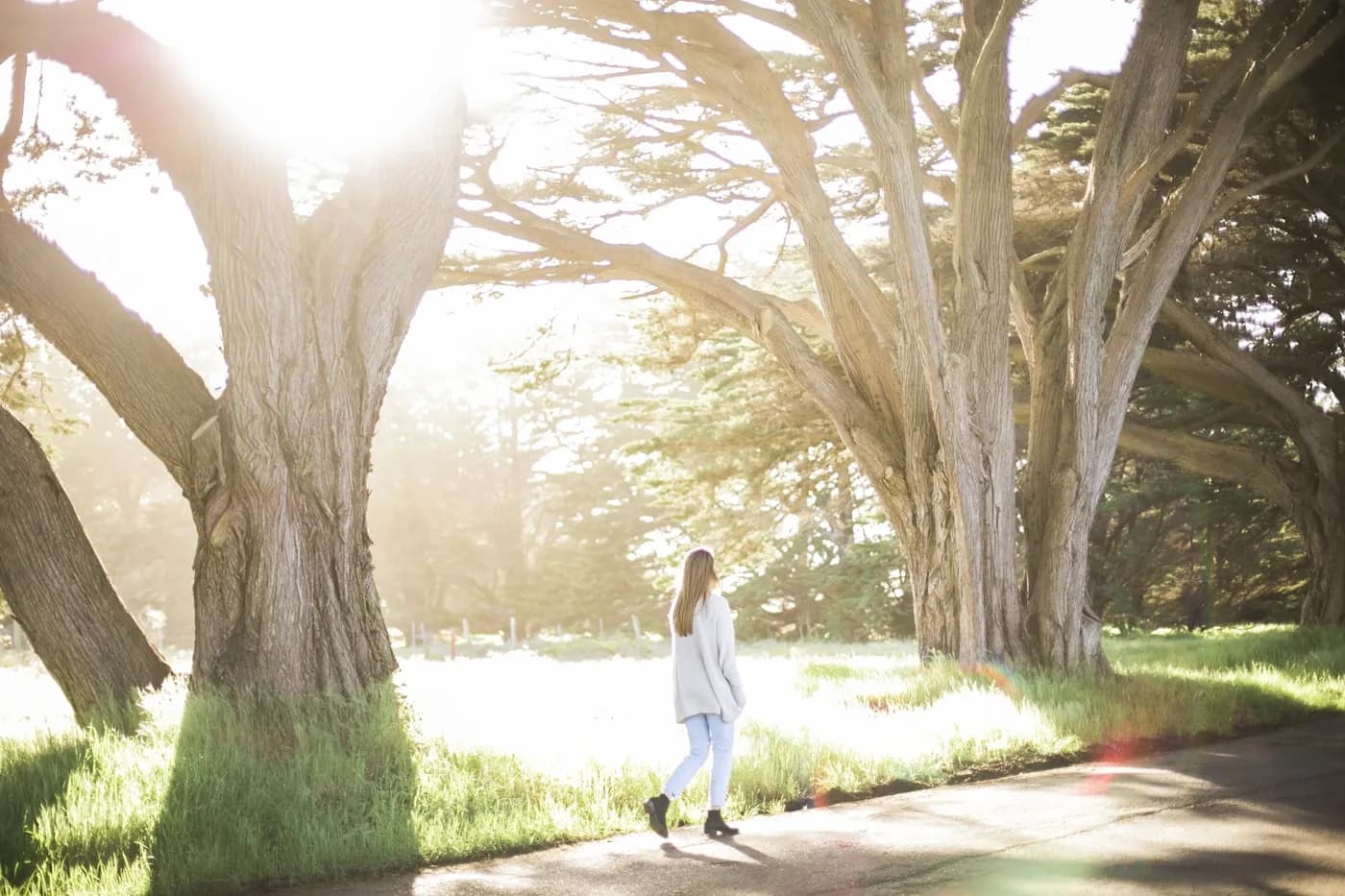 A person walking along a tree-lined path in morning sunlight